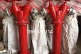 Trụ chữa cháy 2 cửa D65 có thân D100